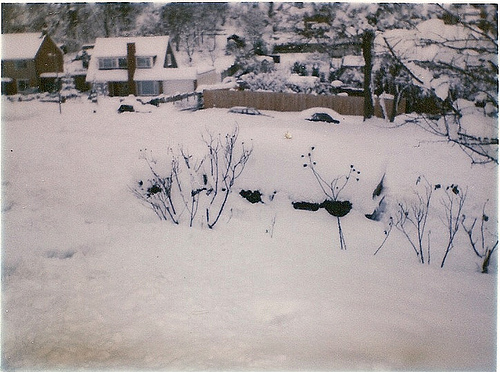 Snow in Chatham Kent 1987