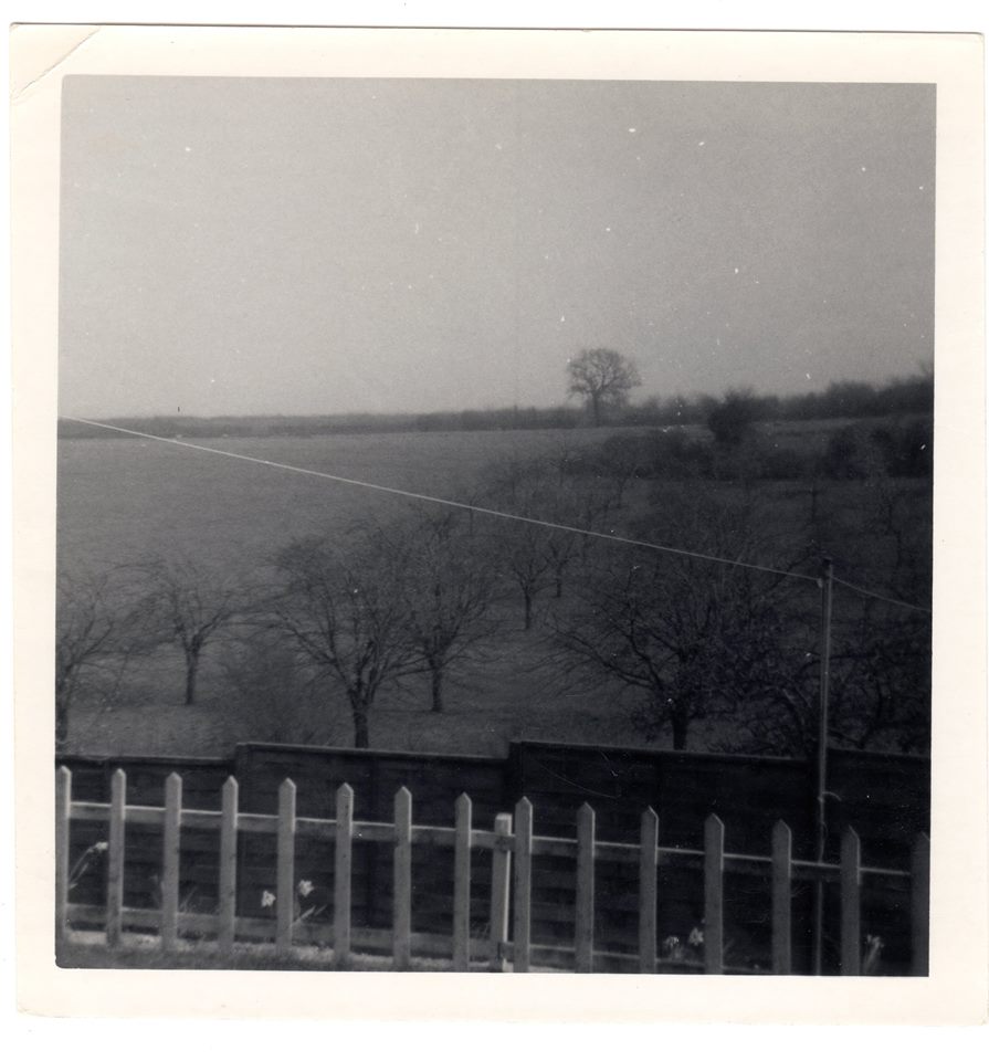 View over Lonsdale Drive before building started
