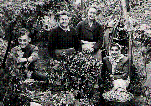 john godfrey image002
